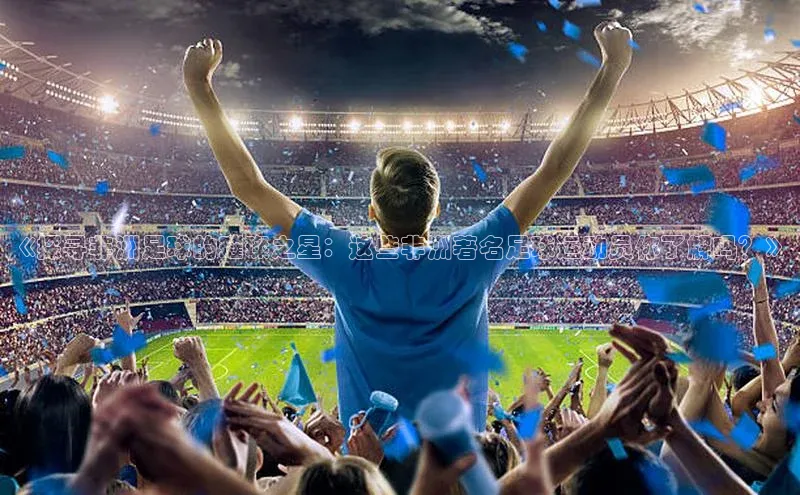 龙8官网手机登入口挪威主权基金《探寻非洲足球的璀璨之星：这些非洲著名足球运动员你了解吗？》