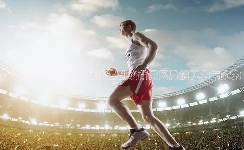 头号玩家唯一官网官方版百度翻译App全方位视角：探索足球运动场背景图片的魅力与魔力