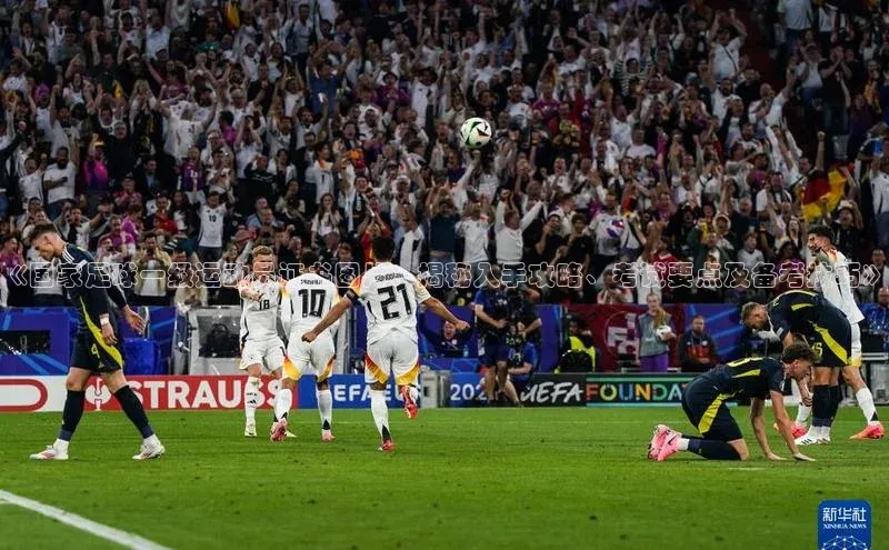 头号玩家app官方正版下载小米《国家足球一级运动员证书图片：揭秘入手攻略、考试要点及备考技巧》