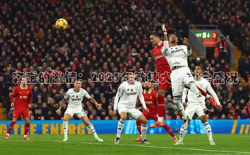 龙8官网在线试玩蓝色光标奔跑的激情：2023年敏捷犬运动会盛况