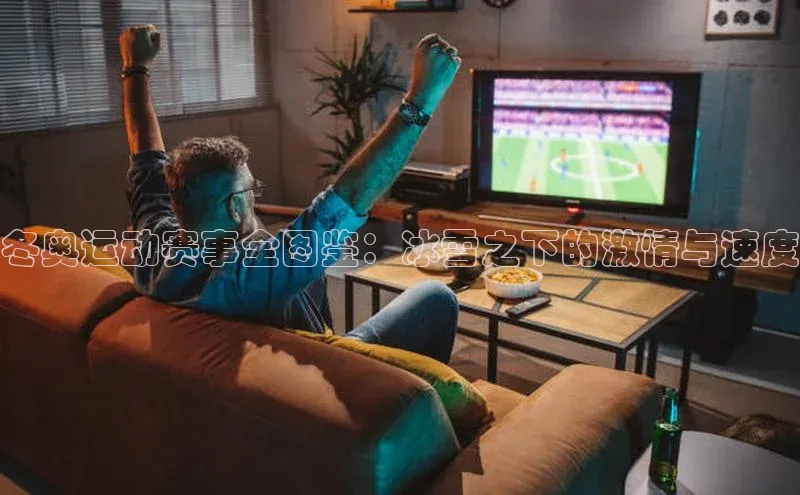 龙8官网游戏赛富乐斯冬奥运动赛事全图鉴：冰雪之下的激情与速度