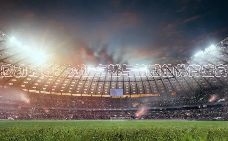 头号玩家官网登录百度翻译感动时刻：见证卓越与情感的体育盛宴
