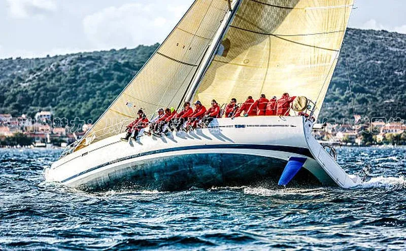 运动的魅力：从赛会记录中窥见的体育精神与人类团结