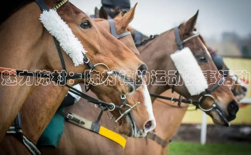 魅力陈村：陈村镇的运动赛事活动