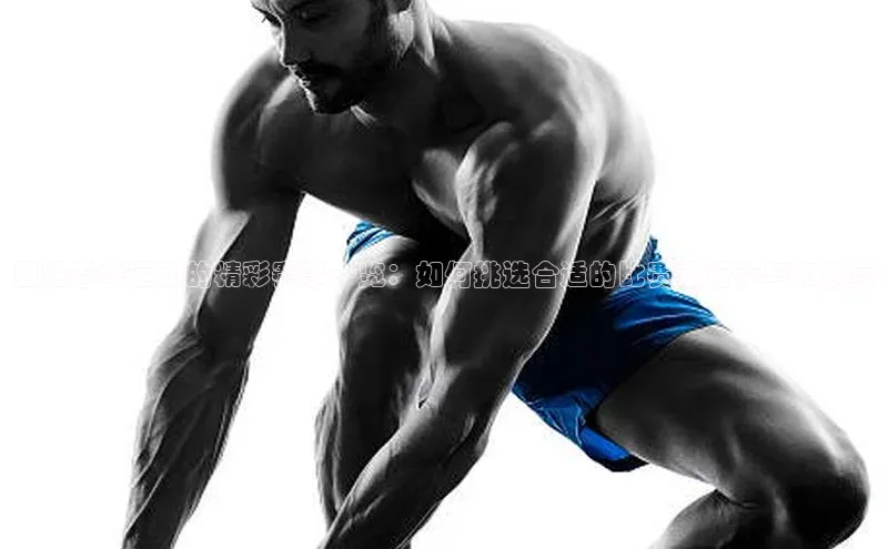 田径春季运动的精彩赛事一览：如何挑选合适的比赛进行参与和欣赏