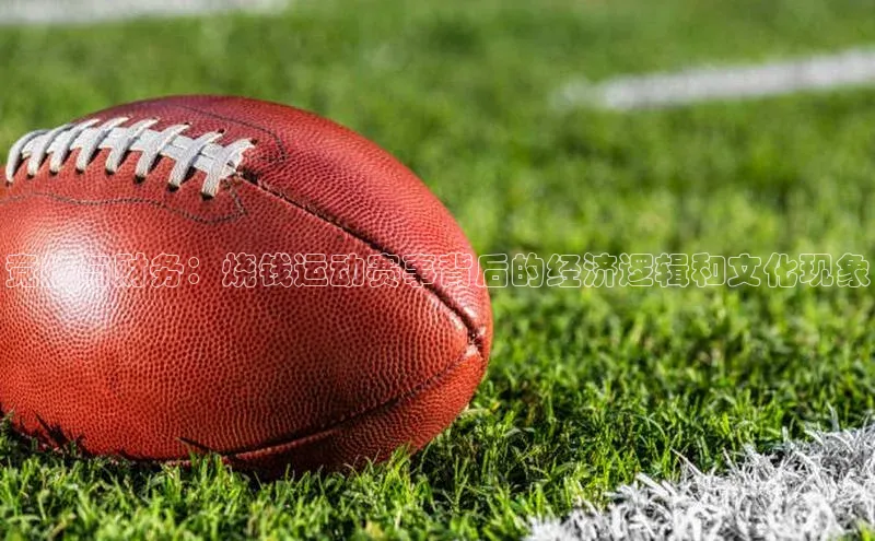 竞技与财务：烧钱运动赛事背后的经济逻辑和文化现象