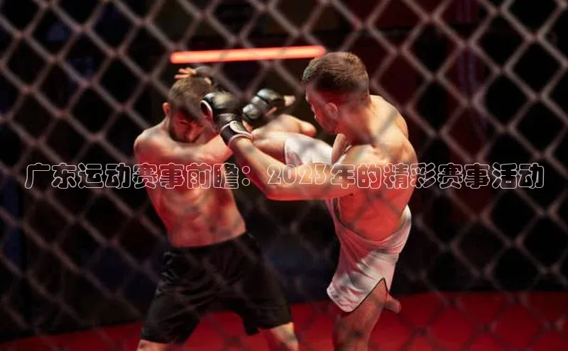 广东运动赛事前瞻：2023年的精彩赛事活动