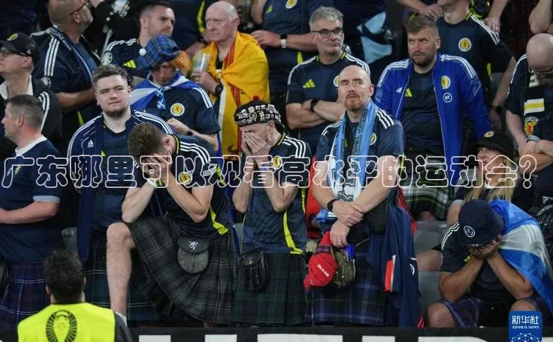 广东哪里可以观看高水平的运动会？