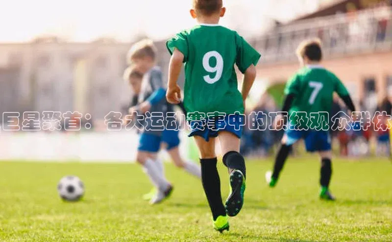 巨星聚首：各大运动赛事中的顶级观众群体