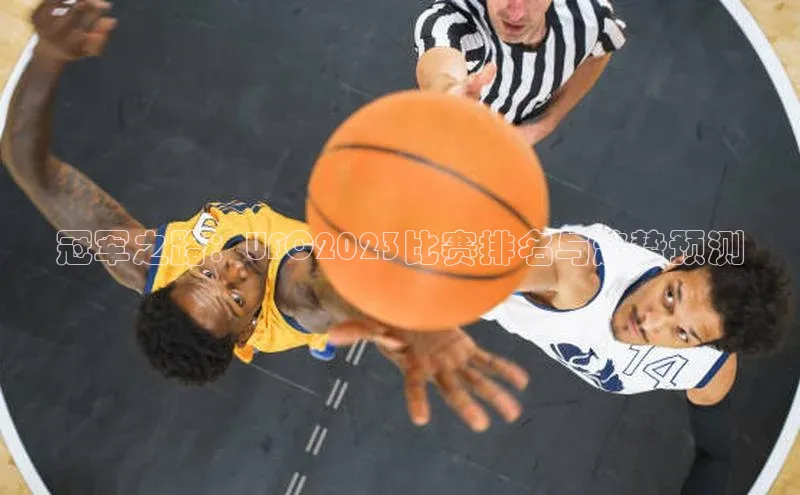 冠军之路：UFC2023比赛排名与趋势预测