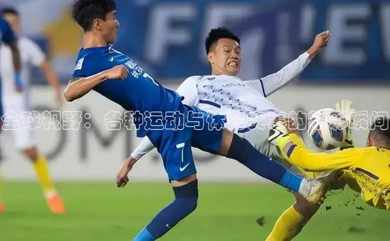 全球视野：各种运动与体育赛事的精彩瞬间