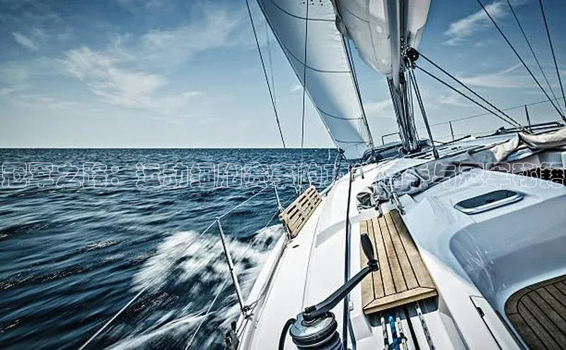 冠军之路：运动细胞赛事的顶尖高手与冠军秘籍