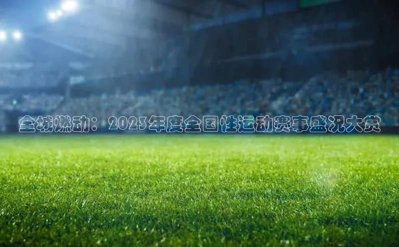全城燃动：2023年度全国性运动赛事盛况大赏