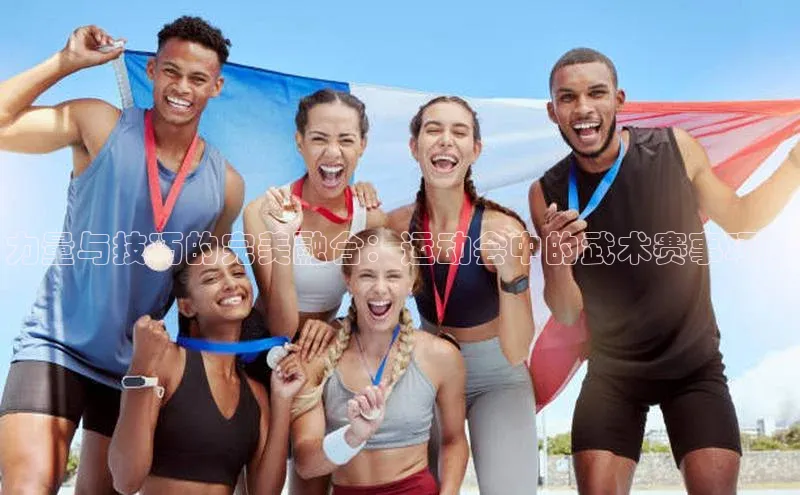 力量与技巧的完美融合：运动会中的武术赛事项目